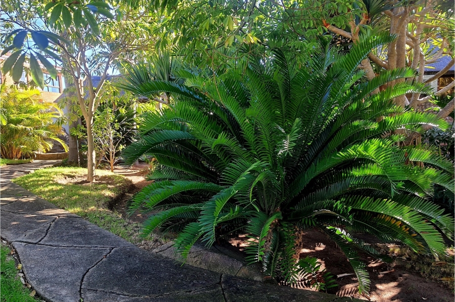 3 Bedroom Property for Sale in Menkenkop Western Cape